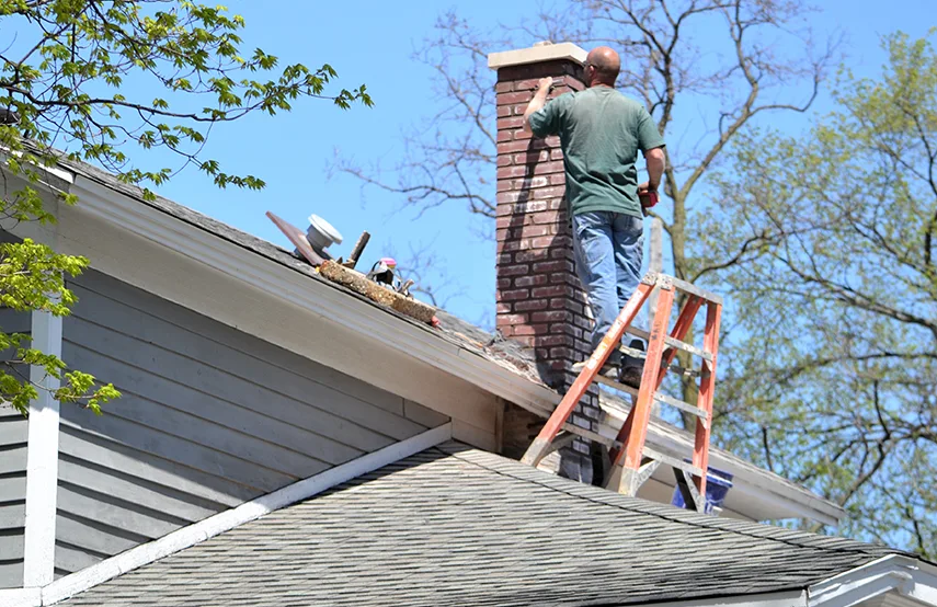 Chimney & Fireplace Inspections Services in Silver Firs, WA